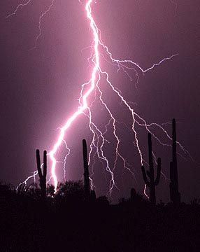 Monsoon