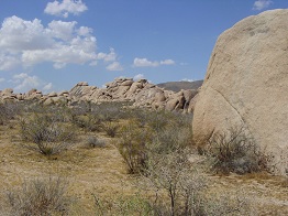 White Tanks Regional Park