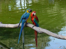 Wildlife World Zoo